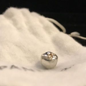 Authentic Pandora Two Tone Apple Charm